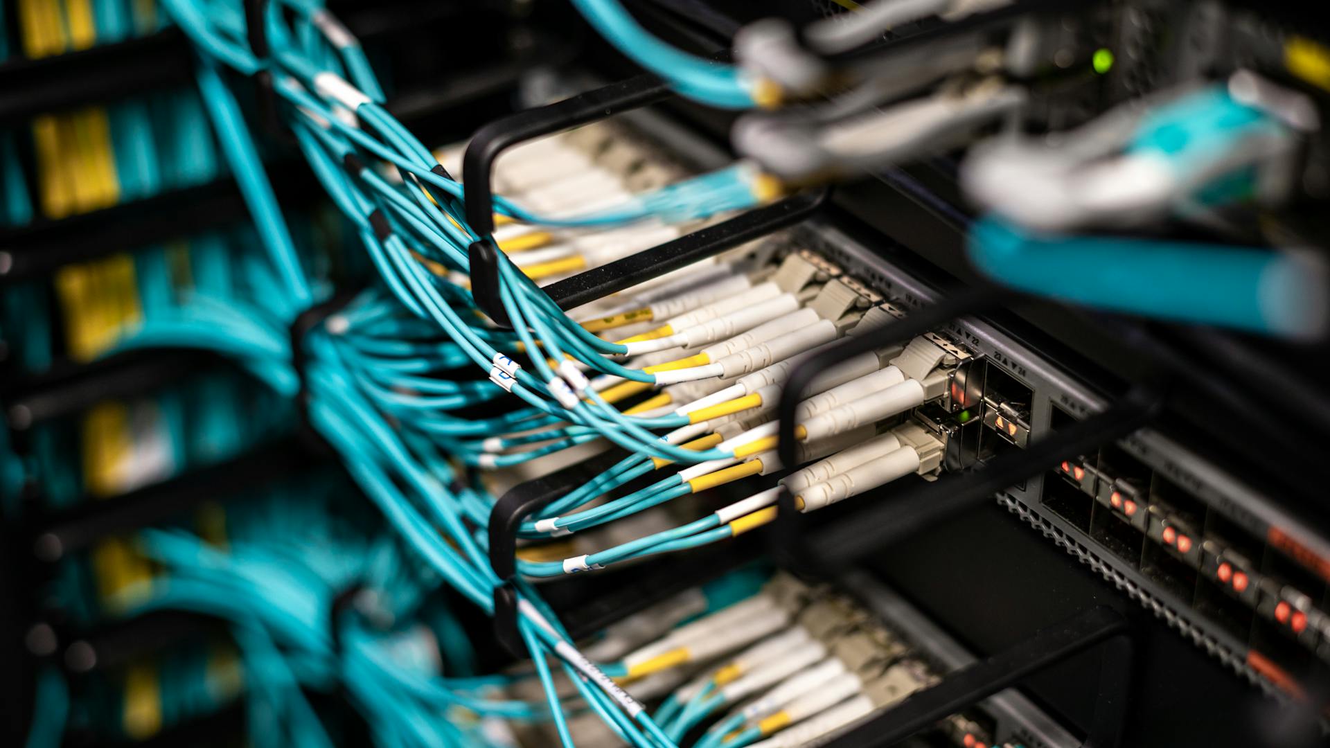 pexels-photo-5073493-1